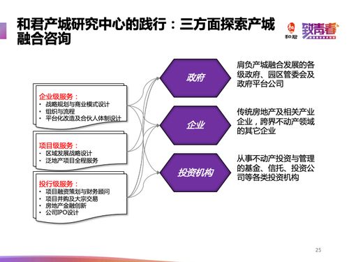 产城融合的全景审视 产业驱动、城市服务与网络信息咨询实践